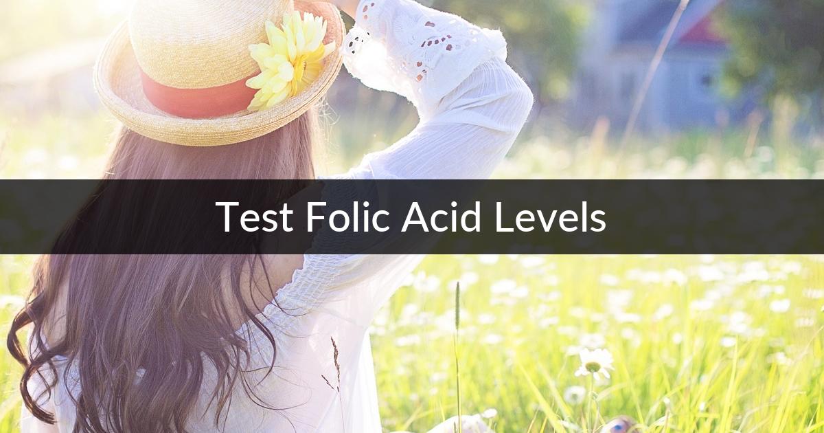 Test Folic Acid Levels Digital Naturopath